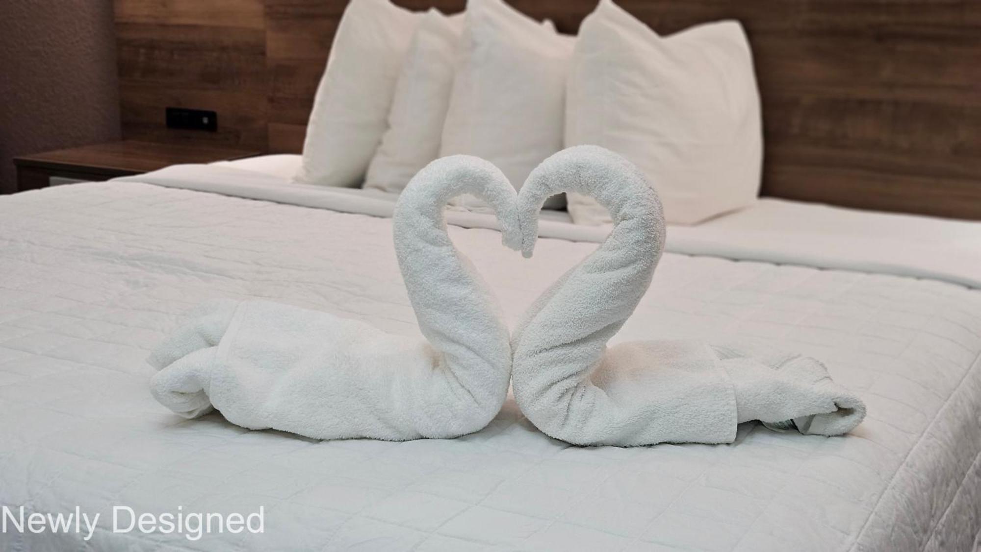 Best Western Hopkinsville Ky - Brand New Rooms Екстер'єр фото