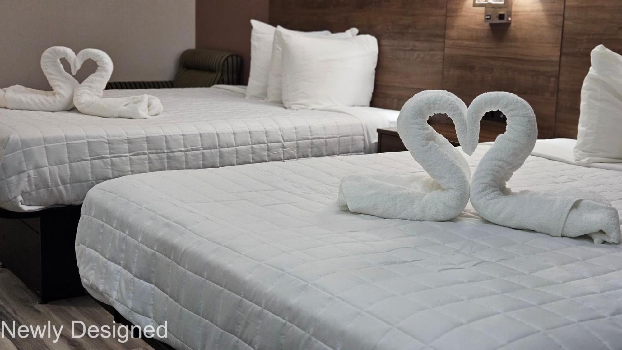 Best Western Hopkinsville Ky - Brand New Rooms Екстер'єр фото